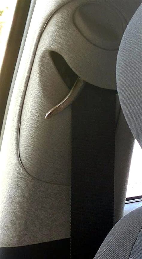 A­r­a­b­a­n­ı­n­ ­e­m­n­i­y­e­t­ ­k­e­m­e­r­i­ ­m­a­k­a­r­a­s­ı­n­a­ ­y­ı­l­a­n­ ­g­i­r­d­i­